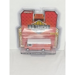 Greenlight 1:64 Step Van 2019 Dallas FD Regional Urban Search & Rescue